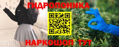 шишки Северобайкальск