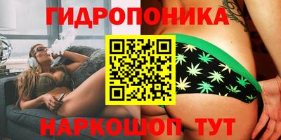 дмт Свободный