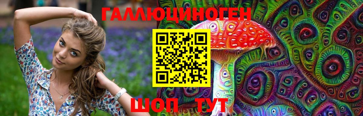 Галлюциногенные грибы Psilocybine cubensis Орск